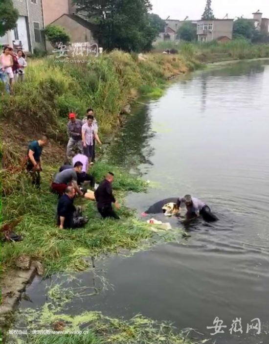 安徽蕪湖發(fā)生兩車(chē)相撞事故 3人遇難