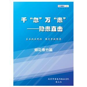 千“忽”万“患”——隐患直击之烟花爆竹篇（电子书）